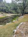46967 Blue Ridge Drive - Photo 29