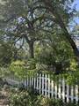 46967 Blue Ridge Drive - Photo 4