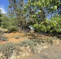 46967 Blue Ridge Drive - Photo 5