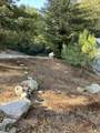 46967 Blue Ridge Drive - Photo 73