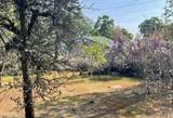 46967 Blue Ridge Drive - Photo 8