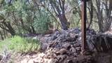 538 Acorn Drive - Photo 27