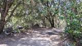 538 Acorn Drive - Photo 81