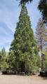 538 Acorn Drive - Photo 84