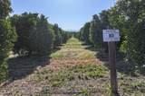 Hillcrest Street - Photo 23