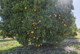  Hillcrest Street - Photo 24