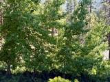 1207 Pine Haven Court - Photo 22