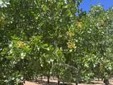  Avenue 20 1/2 - Photo 4