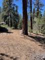 58303 Carter Drive - Photo 2