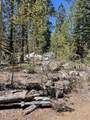 58303 Carter Drive - Photo 6