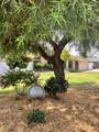 700 Pine Street - Photo 67