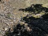  Road 164 - Photo 12