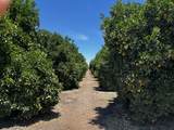  Road 164 - Photo 2