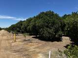  Road 164 - Photo 3