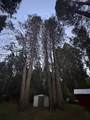 57989 Red Bud Lane - Photo 17