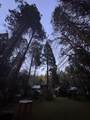 57989 Red Bud Lane - Photo 18