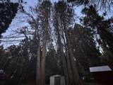 57989 Red Bud Lane - Photo 19