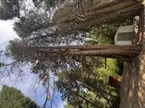 57989 Red Bud Lane - Photo 31