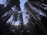 57989 Red Bud Lane - Photo 4