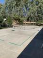 31255 Palm Drive - Photo 21