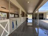 31255 Palm Drive - Photo 22
