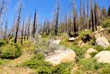  Redwood Dr - Photo 10
