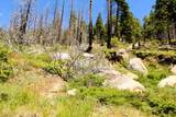 Redwood Dr - Photo 12