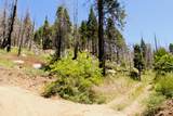  Redwood Dr - Photo 4