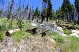  Redwood Dr - Photo 5