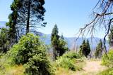  Redwood Dr - Photo 6