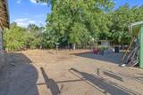 29060 Road 164 - Photo 23