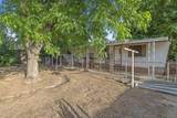 29060 Road 164 - Photo 26