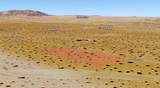  Desert Trail Drive - Photo 8