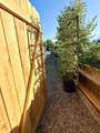 3113 Laurel Avenue - Photo 73