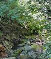 0 Ca-245 - Photo 2