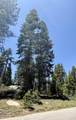 57572 Ponderosa Drive - Photo 4