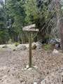  Ponderosa Drive - Photo 15
