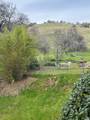 30284 Bear Mountain Road - Photo 24