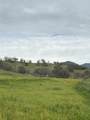 30284 Bear Mountain Road - Photo 3