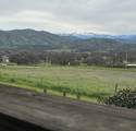 30284 Bear Mountain Road - Photo 44