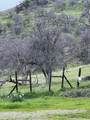 30284 Bear Mountain Road - Photo 48