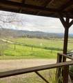 30284 Bear Mountain Road - Photo 5