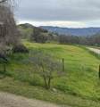 30284 Bear Mountain Road - Photo 54
