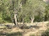 42001 Fork Drive - Photo 10