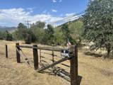 42001 Fork Drive - Photo 13