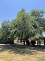 32644 Quail Lane - Photo 17