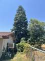 32644 Quail Lane - Photo 23