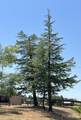 32644 Quail Lane - Photo 28
