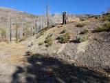  Circle Way Way - Photo 10