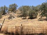 37180 Mistletoe Road - Photo 16